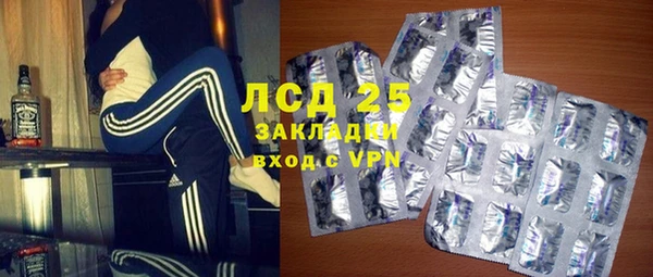 ПСИЛОЦИБИНОВЫЕ ГРИБЫ Арсеньев