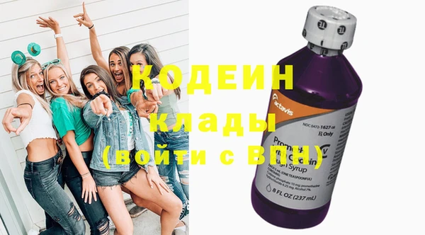 индика Кинешма