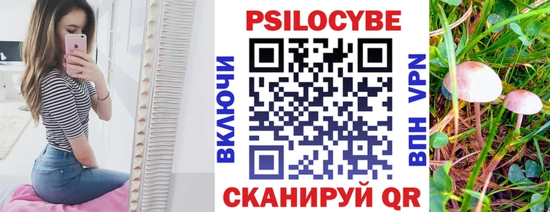omg зеркало  Плавск  Псилоцибиновые грибы GOLDEN TEACHER 